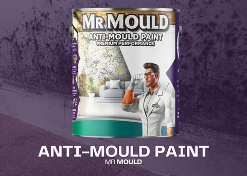 MR MOULD - ANTI - MOULD PAINT - PaintOutlet.co.uk