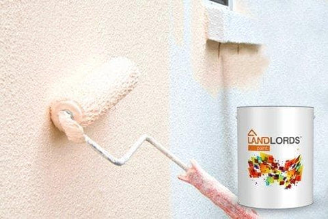 Landlord’s Paint - Textured Paint - PaintOutlet247